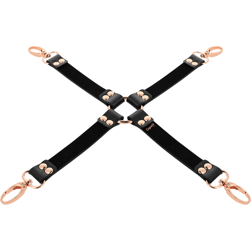 COQUETTE CHIC DESIRE - FAUX LEATHER FANCY PIG BOW TIE