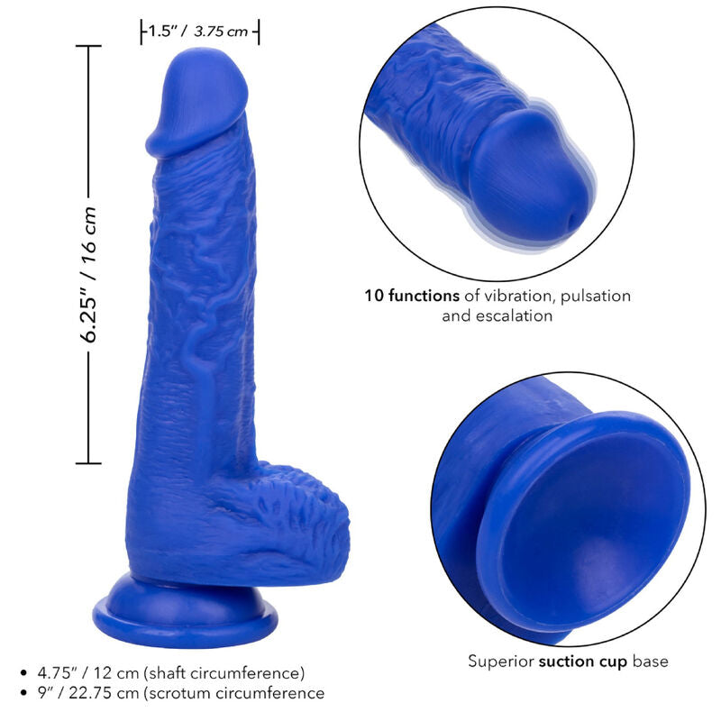 CALEXOTICS - ADMIRAL REALISTIC SAILOR BLUE VIBRATING DILDO