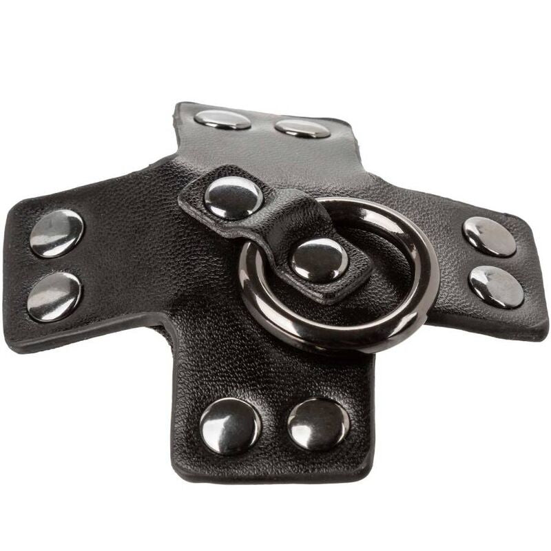 CALEXOTICS - EUPHORIA BLACK O-RING