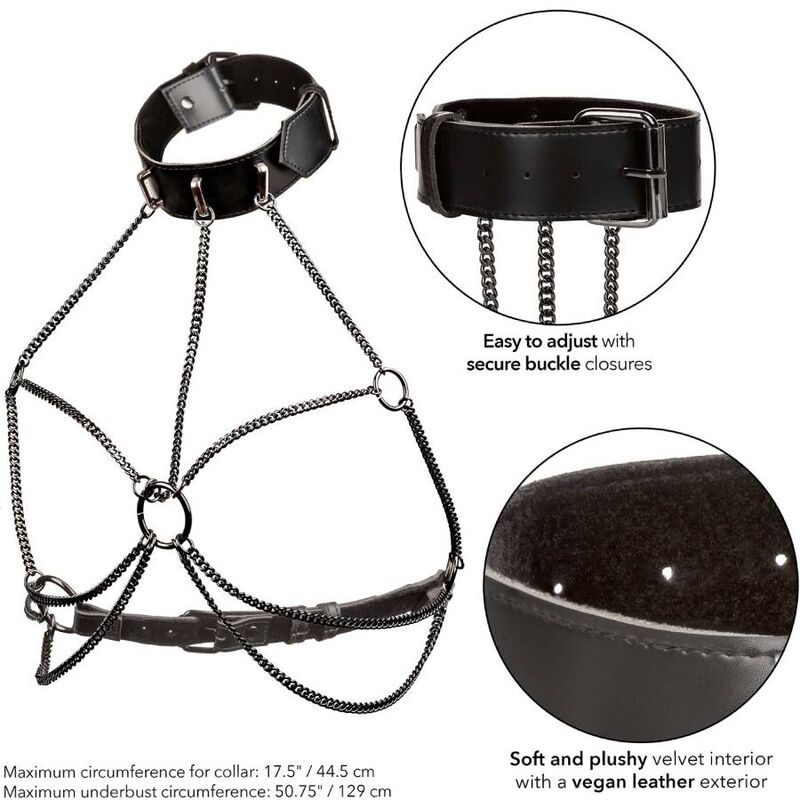 CALEXOTICS - EUPHORIA MULTI-CHAIN HARNESS COLLAR PLUS SIZE