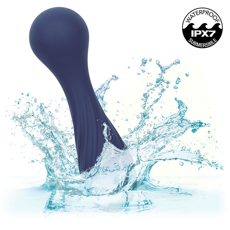 CALEXOTICS - CHARISMA TEMPTATION 12 FUNCTION VIOLET MASSAGER