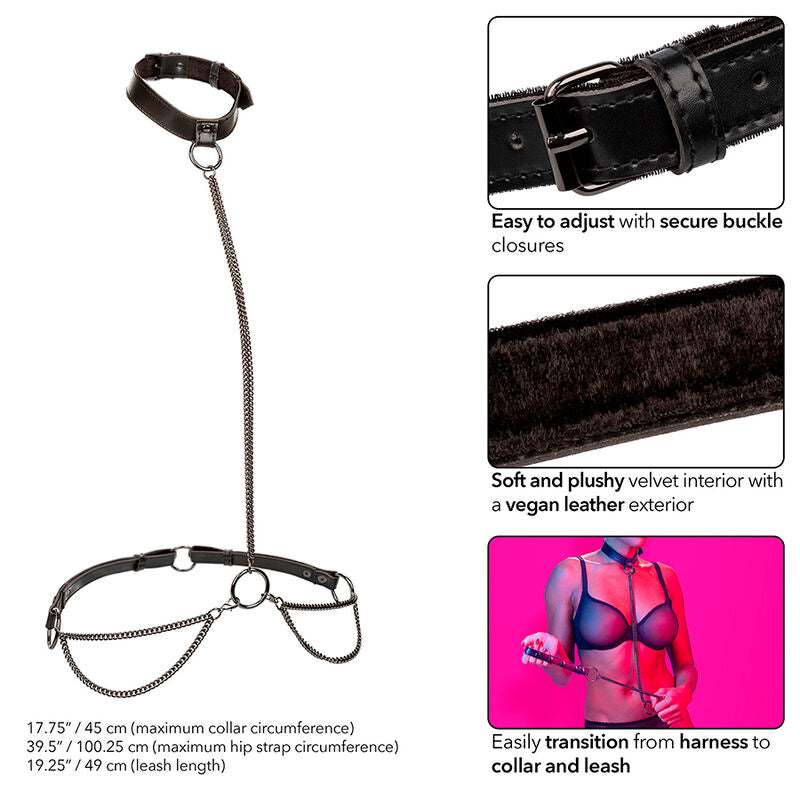 CALEXOTICS - EUPHORIA COLLAR AND CHAIN LEASH