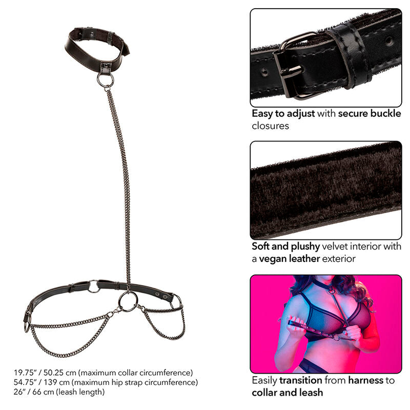 CALEXOTICS - EUPHORIA HALTER COLLAR AND LEASH PLUS SIZE