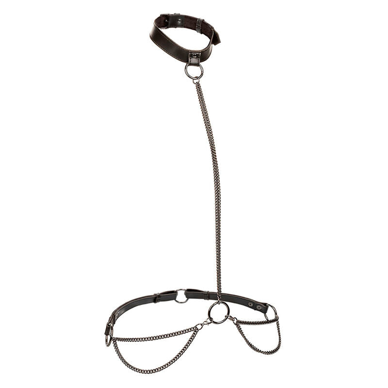CALEXOTICS - EUPHORIA HALTER COLLAR AND LEASH PLUS SIZE