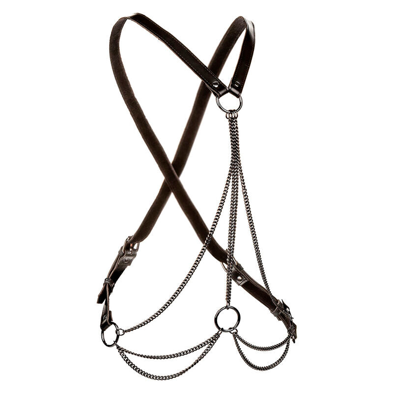 CALEXOTICS - EUPHORIA PREMIUM MULTI-CHAIN HARNESS
