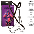 CALEXOTICS - EUPHORIA PREMIUM MULTI-CHAIN HARNESS