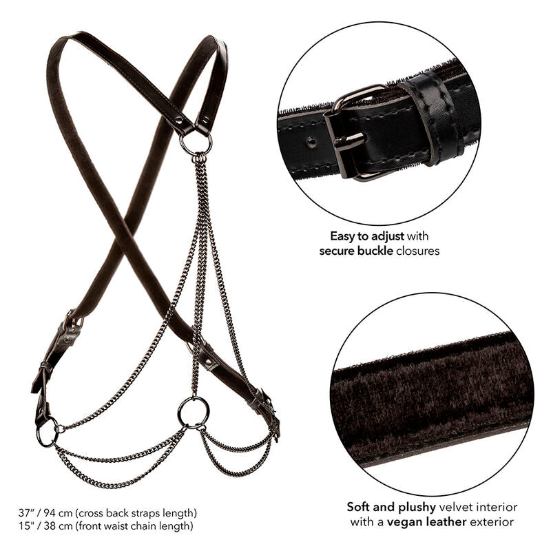 CALEXOTICS - EUPHORIA PREMIUM MULTI-CHAIN HARNESS