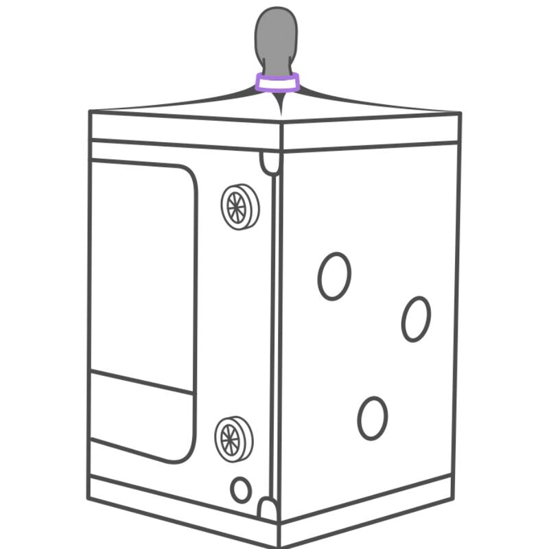 SECRET DOME - KINK CLUB SCANDAL PURPLE CABIN