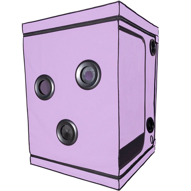 SECRET DOME - KINK CLUB SCANDAL PURPLE CABIN