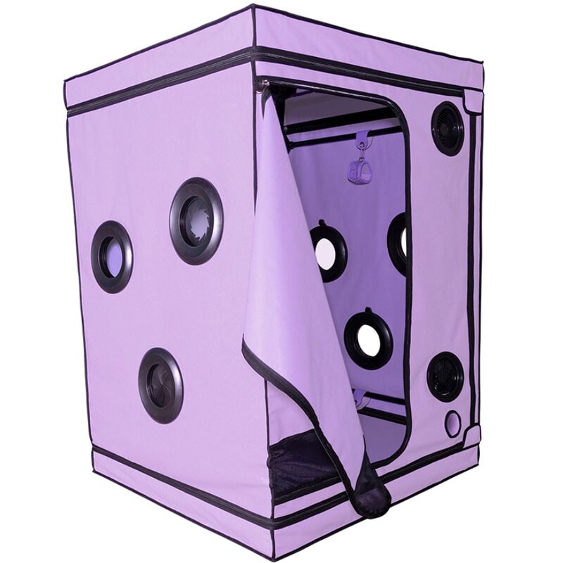 SECRET DOME - KINK CLUB SCANDAL PURPLE CABIN