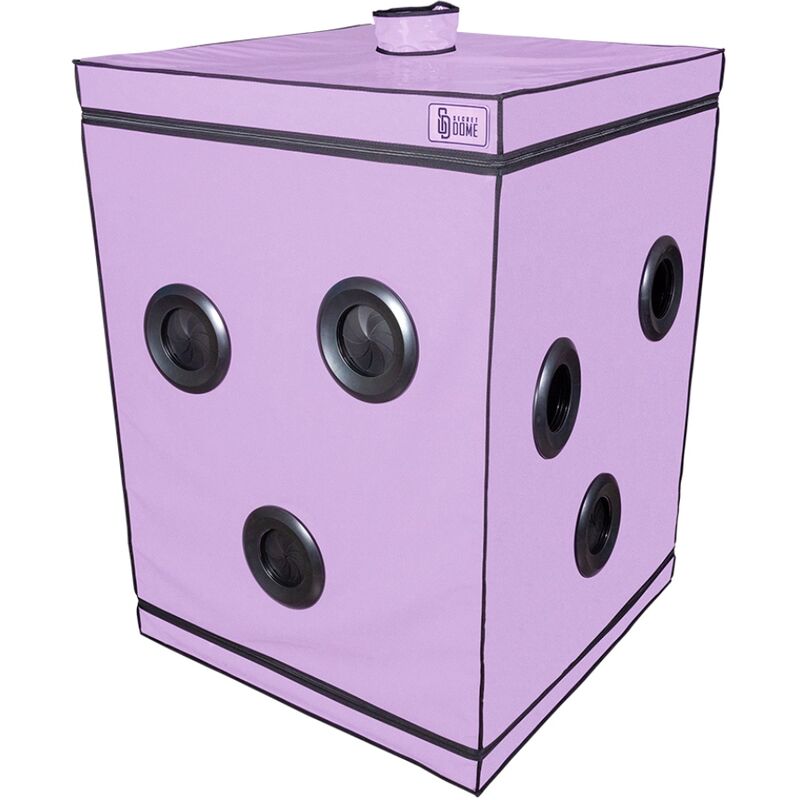 SECRET DOME - KINK CLUB SCANDAL PURPLE CABIN