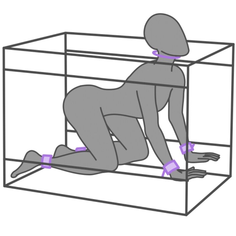 SECRET DOME - KINK CLUB LA NICHE PURPLE BOOTH