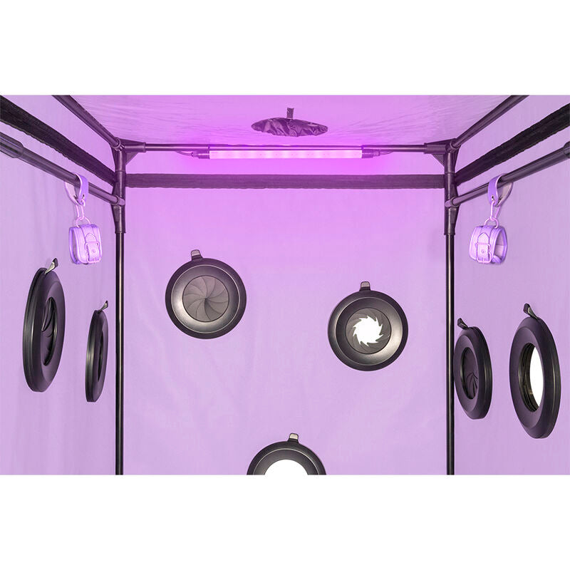 SECRET DOME - KINK CLUB SCANDAL PURPLE CABIN