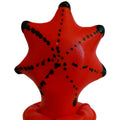 CONDOM STORE - HAND-PAINTED STARFISH FANCY CONDOMS