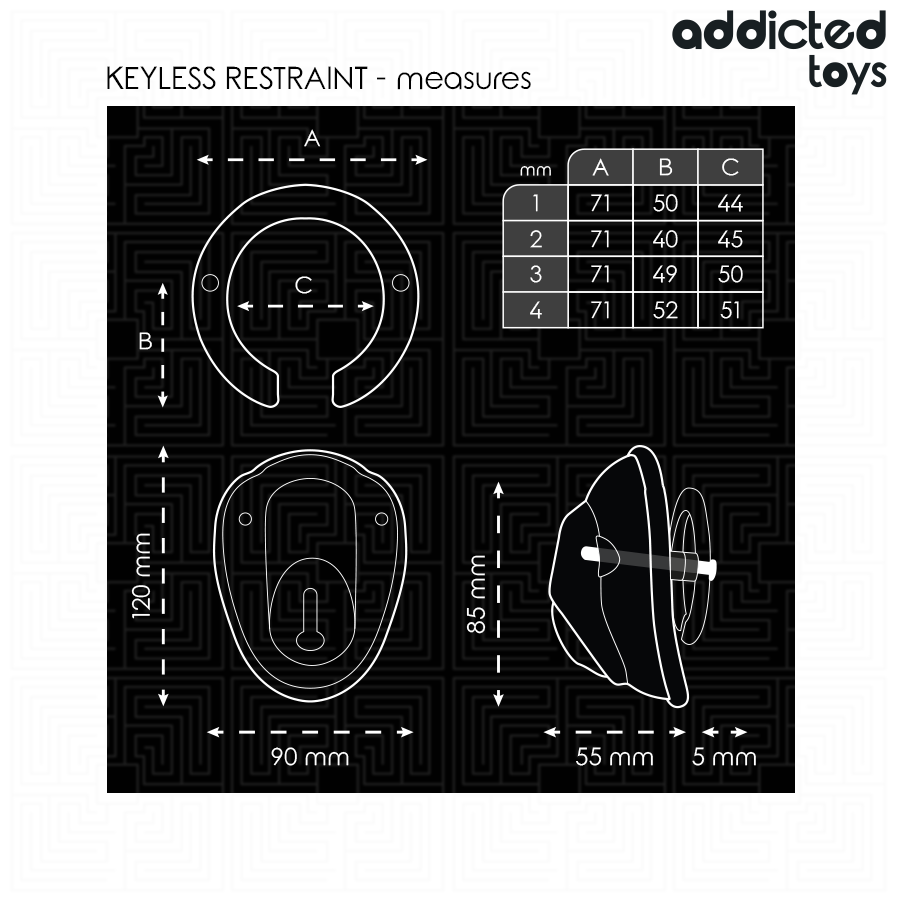 ADDICTED TOYS LOCKED - À PÉNIS VERROUILLÉE SANS CLÉ 11,5 CM