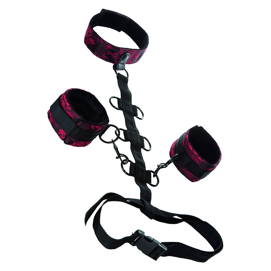 CALEXOTICS - SCANDAL SUPPORT COMPORAL  AVEC COU