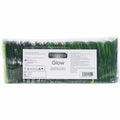 PASANTE - GLOW CONDOM BAG 144 COUNT