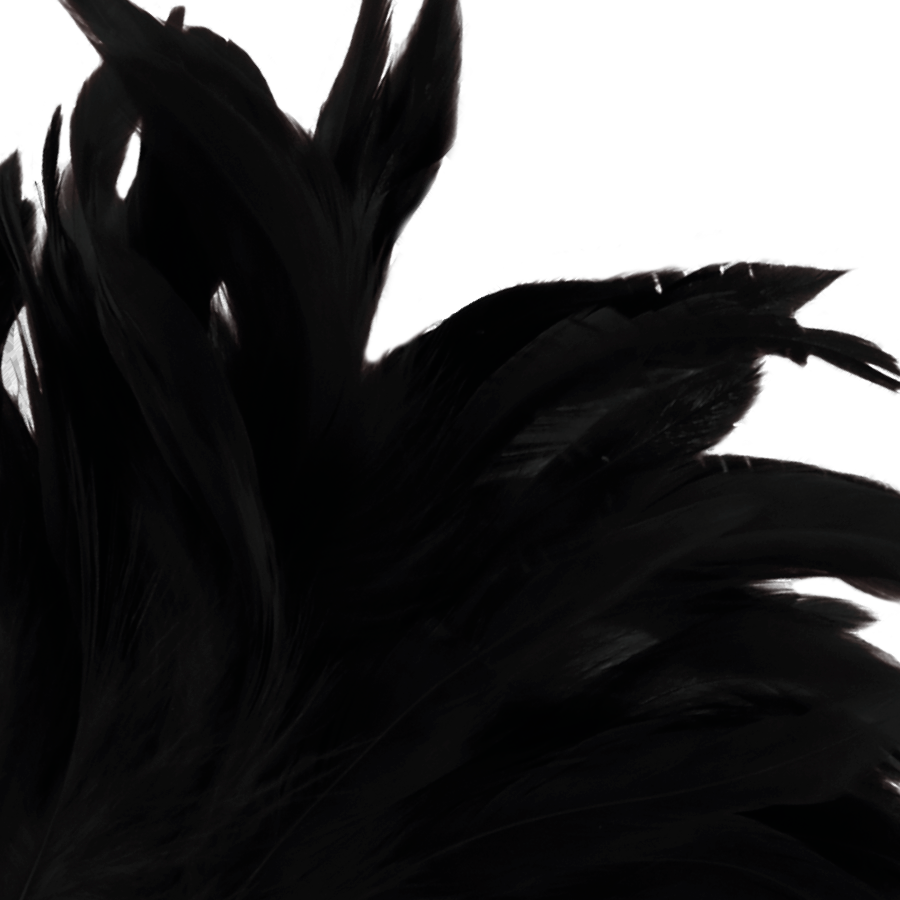 DARKNESS - BLACK STIMULATING PEN LUX