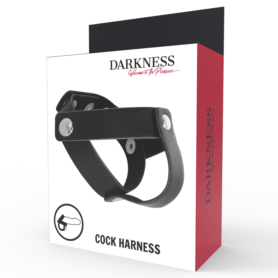 DARKNESS - PENIS AND TESTICLE RING