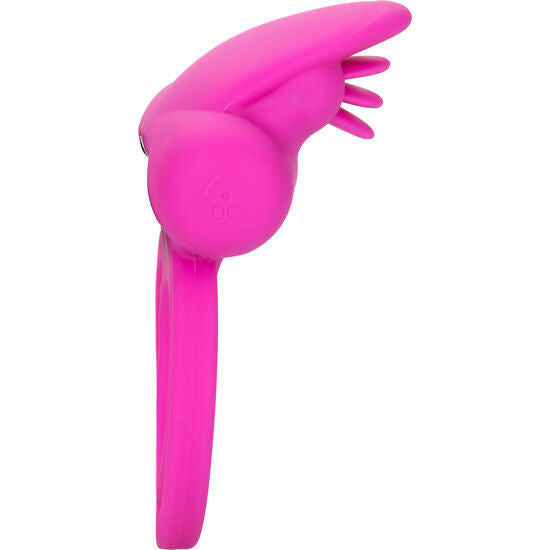 CALEXOTICS - DUAL CLIT TWINKLE ENHANCER